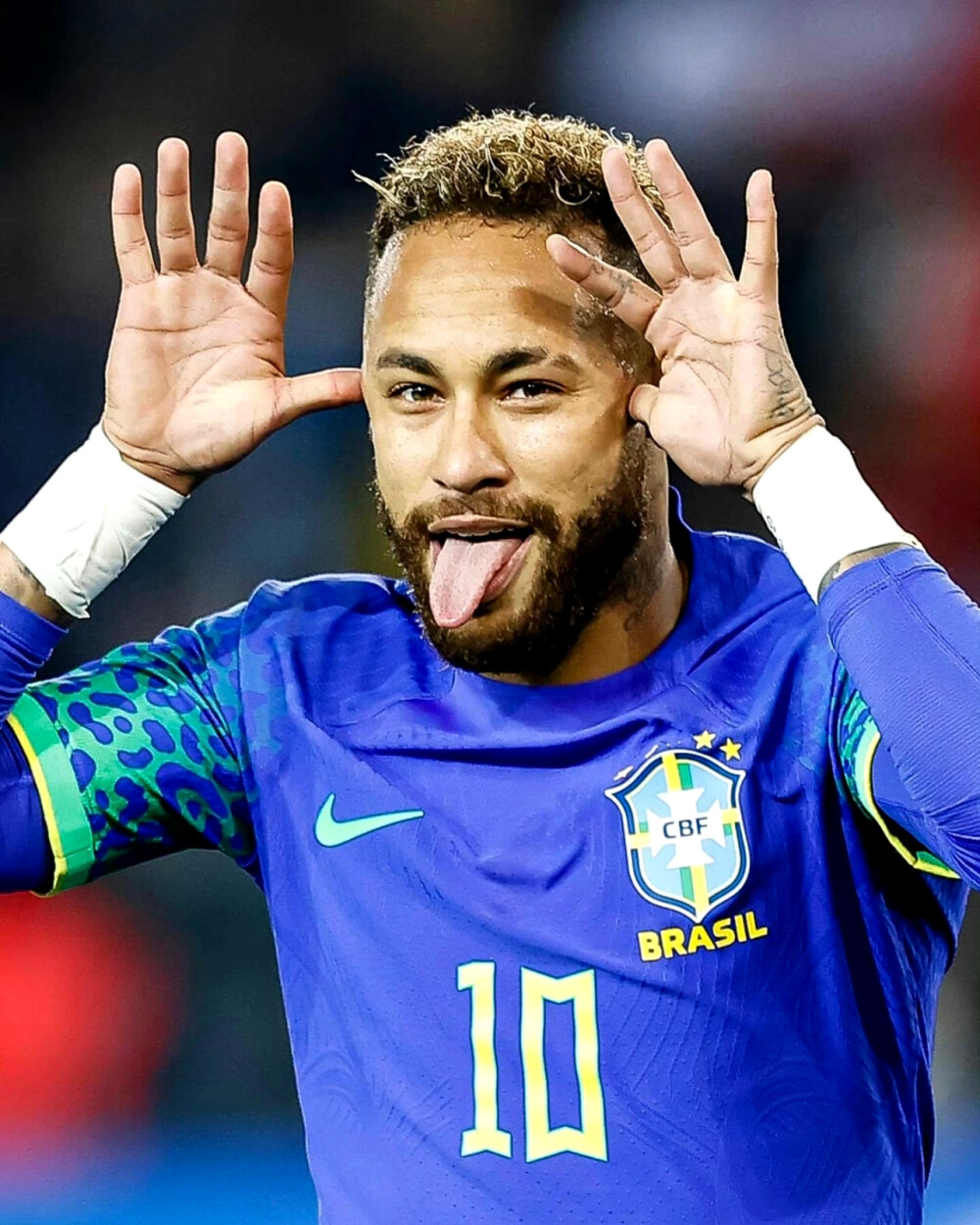 浓墨重彩的 浓墨重彩的