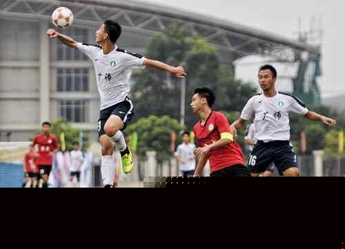 高位压迫 高位压迫