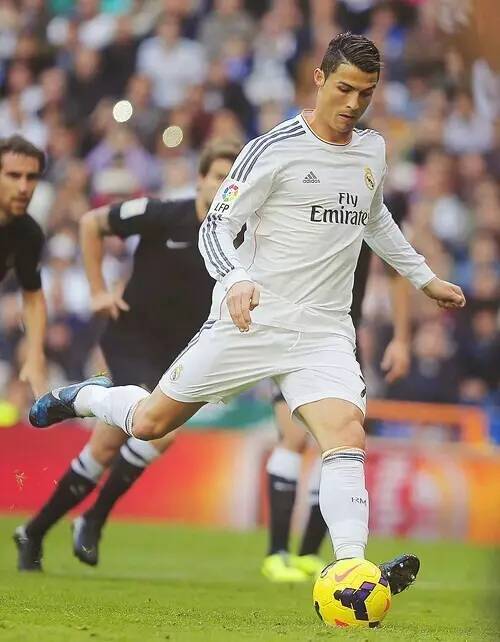 场次领跑同 场次领跑同