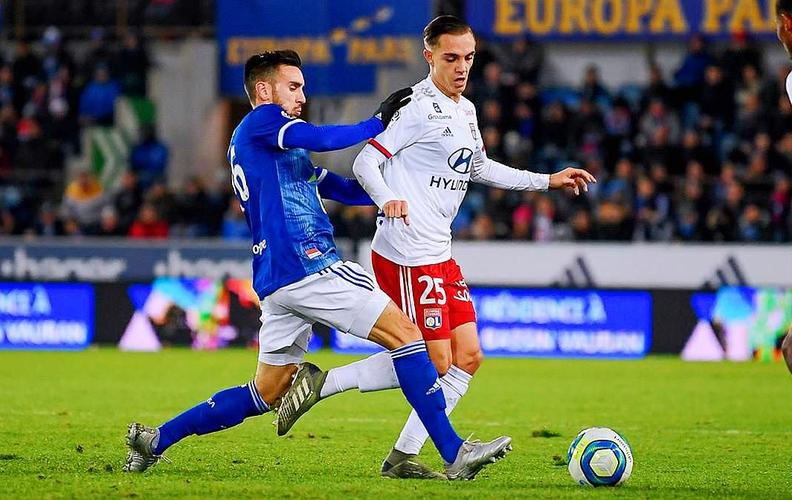 属随机波动 属随机波动